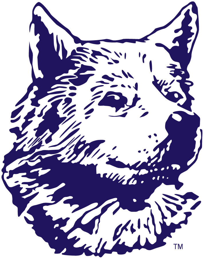 Washington Huskies 1932-1936 Primary Logo diy iron on heat transfer